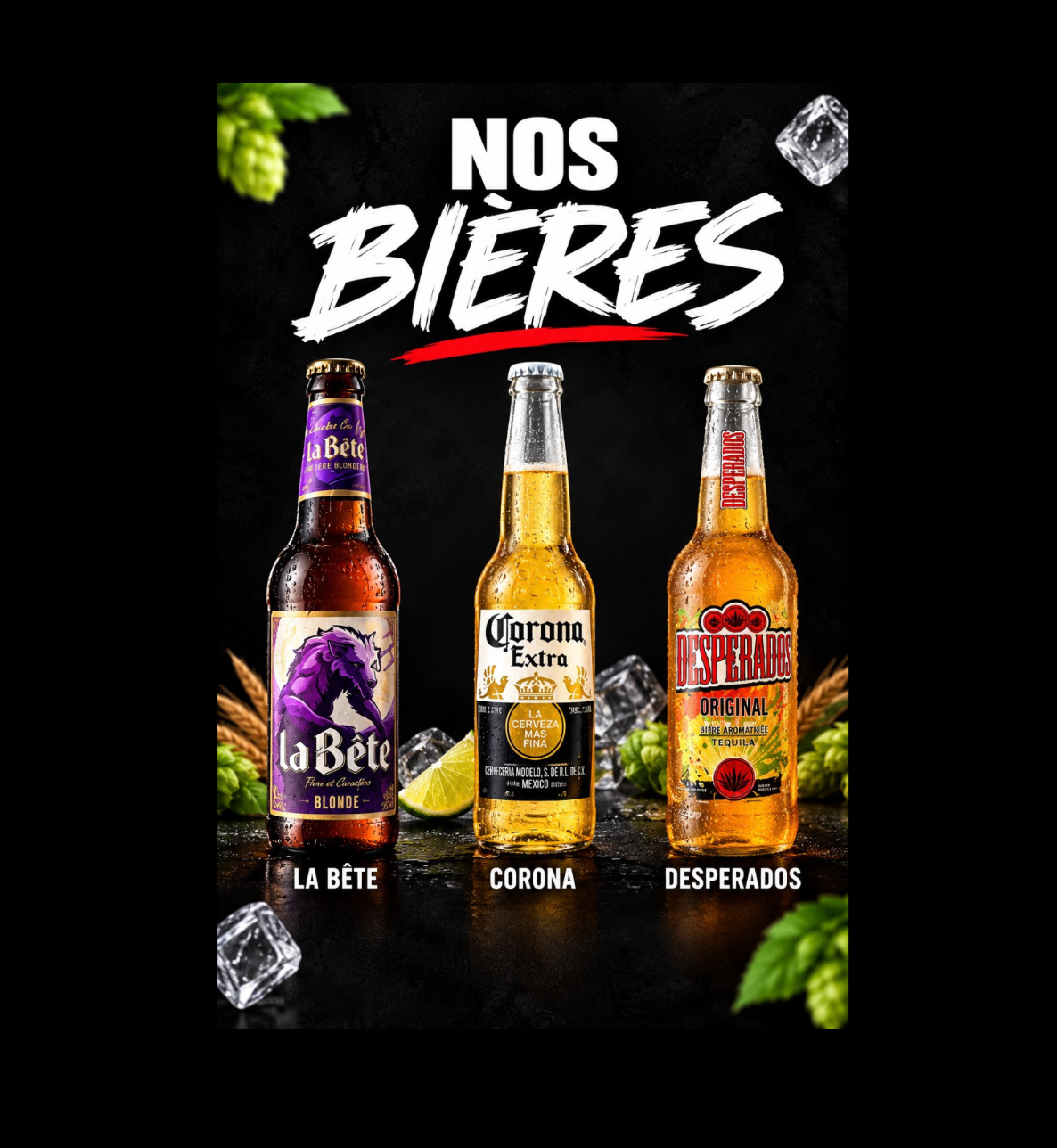 Nos bières